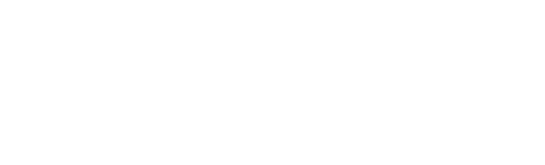 Future Transfer Co Logo